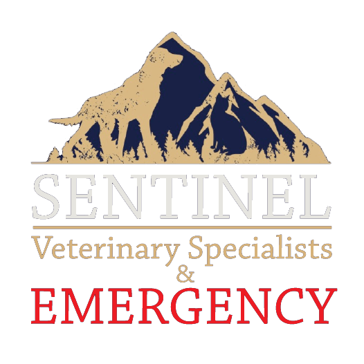 Sentinel Veterinary Specialists & Emergency